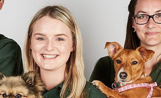 ZDF adopts The Dog House, ordering new local version of All3Media International Format
